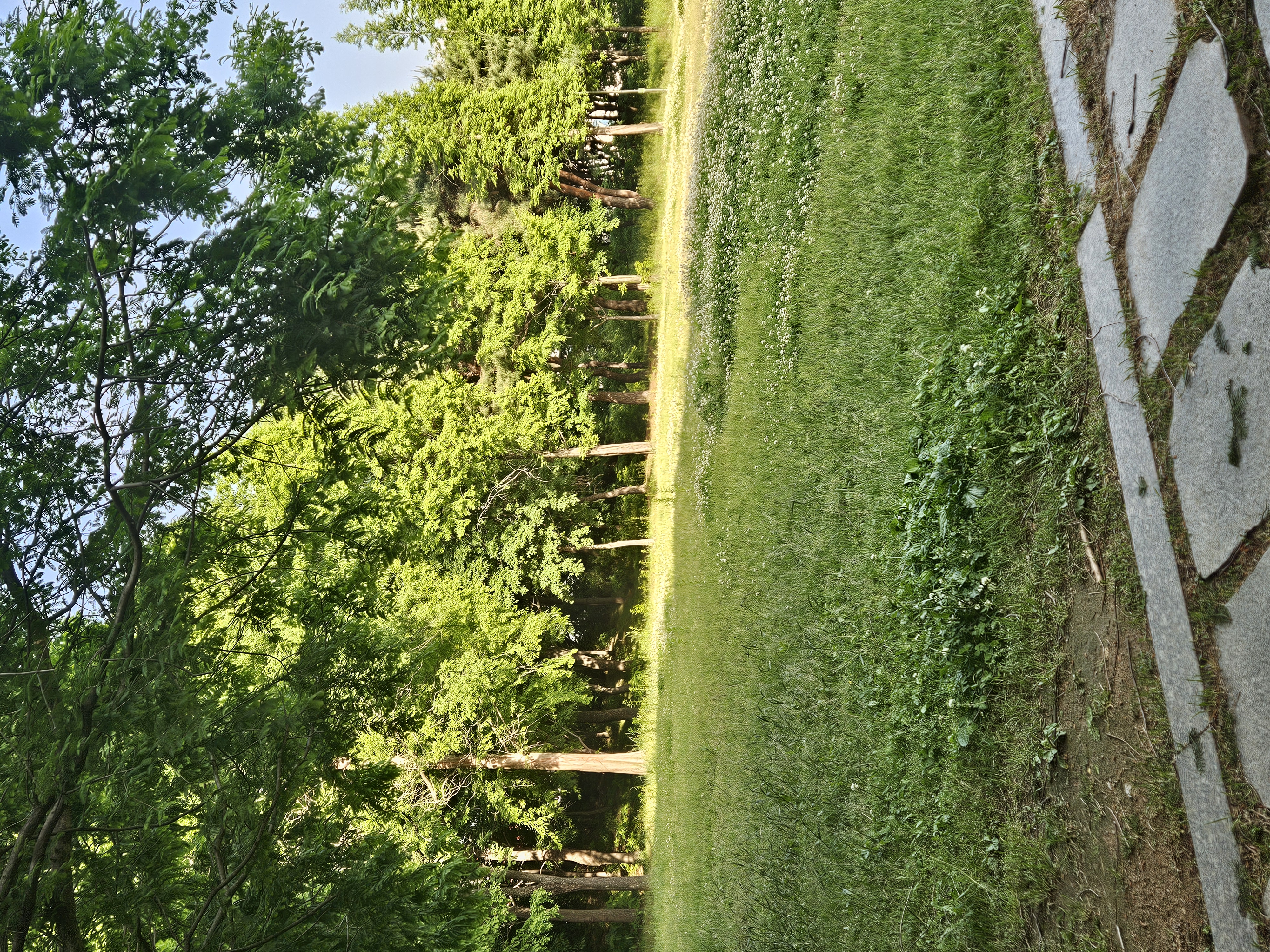 2024 · 오창나들이 · Image 10