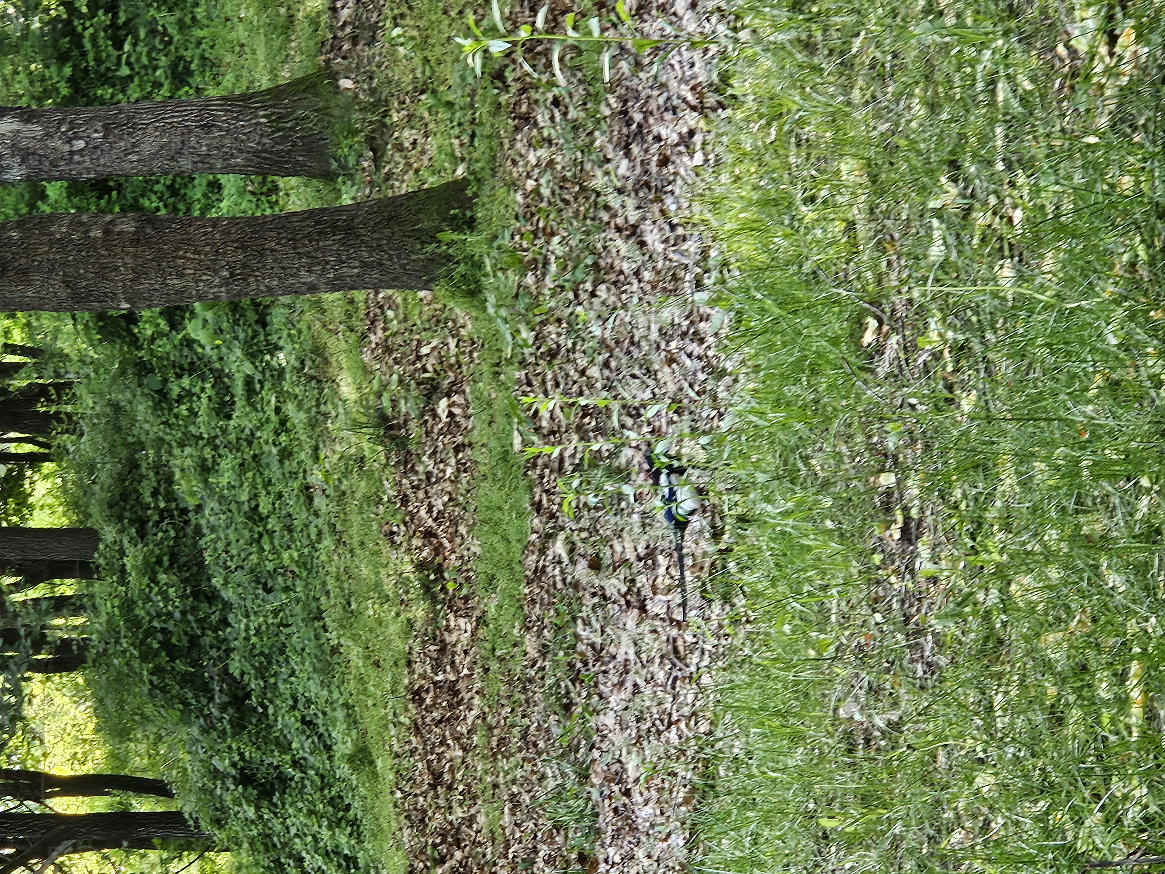 2024 · 오창나들이 · Image 17