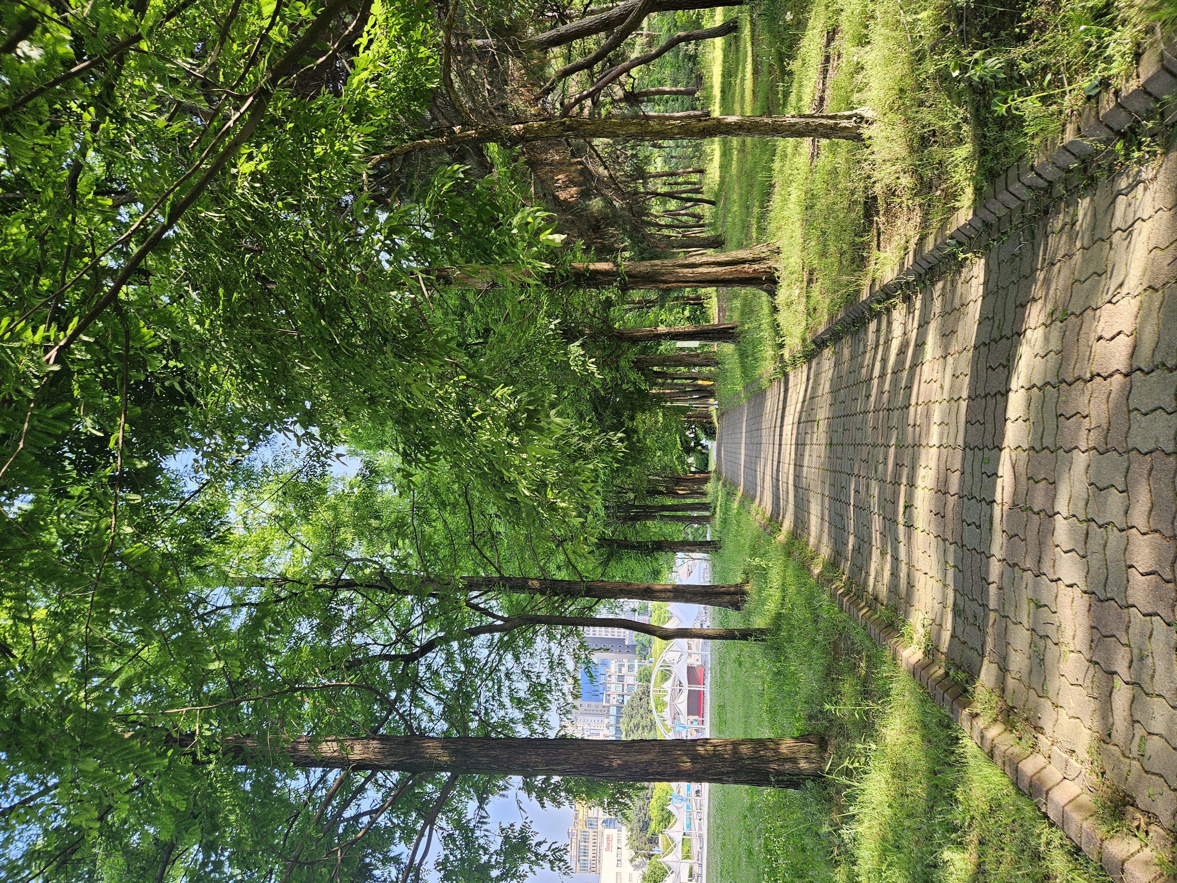 2024 · 오창나들이 · Image 4